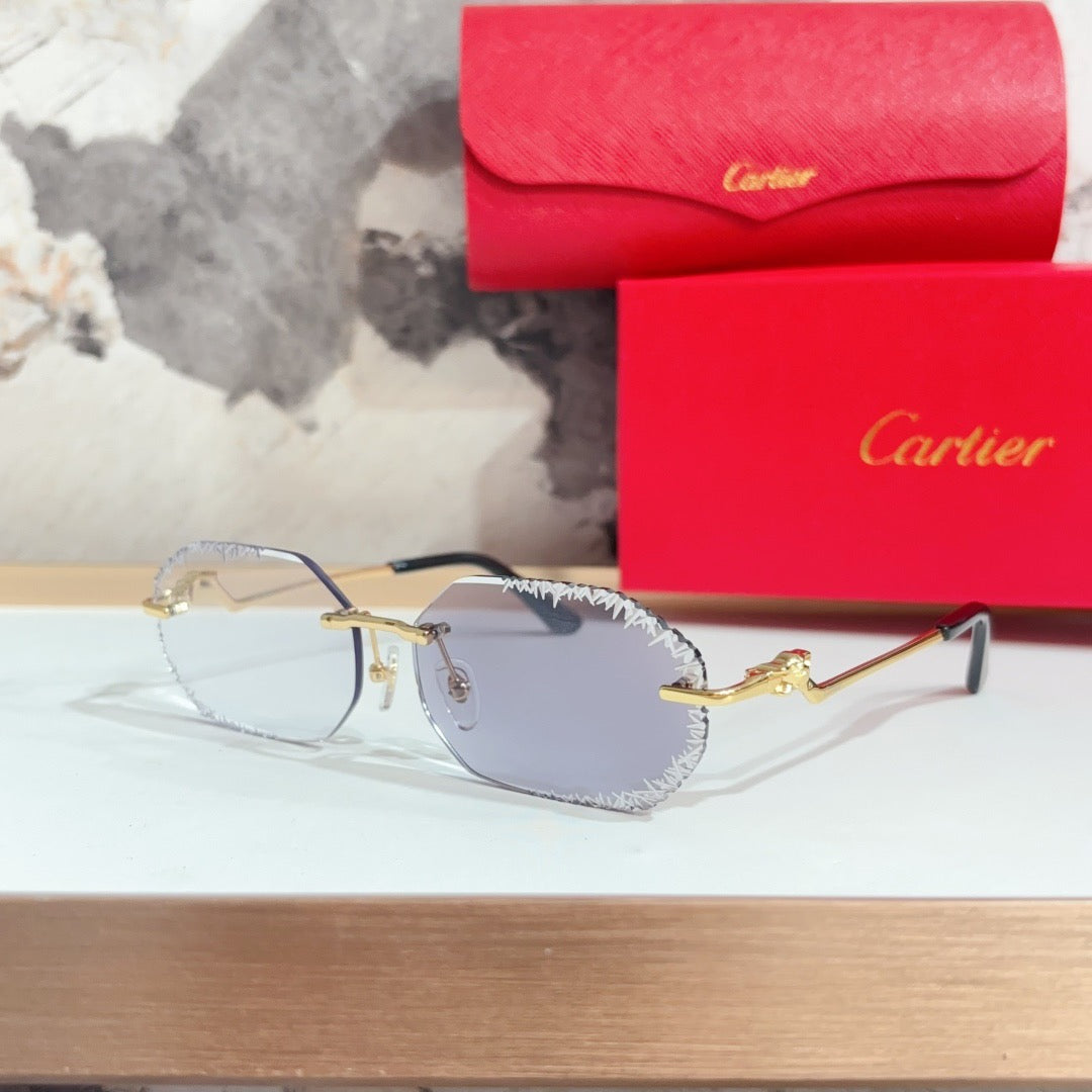 Fashion hot 5 color sunglasses